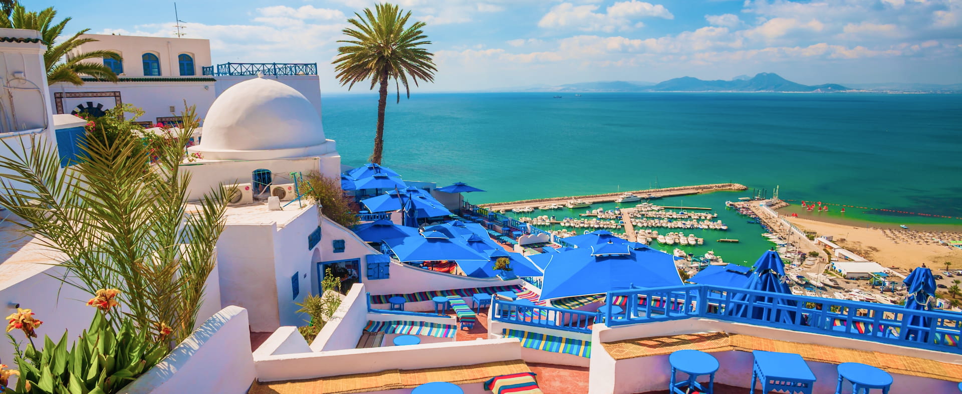 シディ・ブ・サイドのパノラマビュー (Vue panoramique de Sidi Bou Said)
